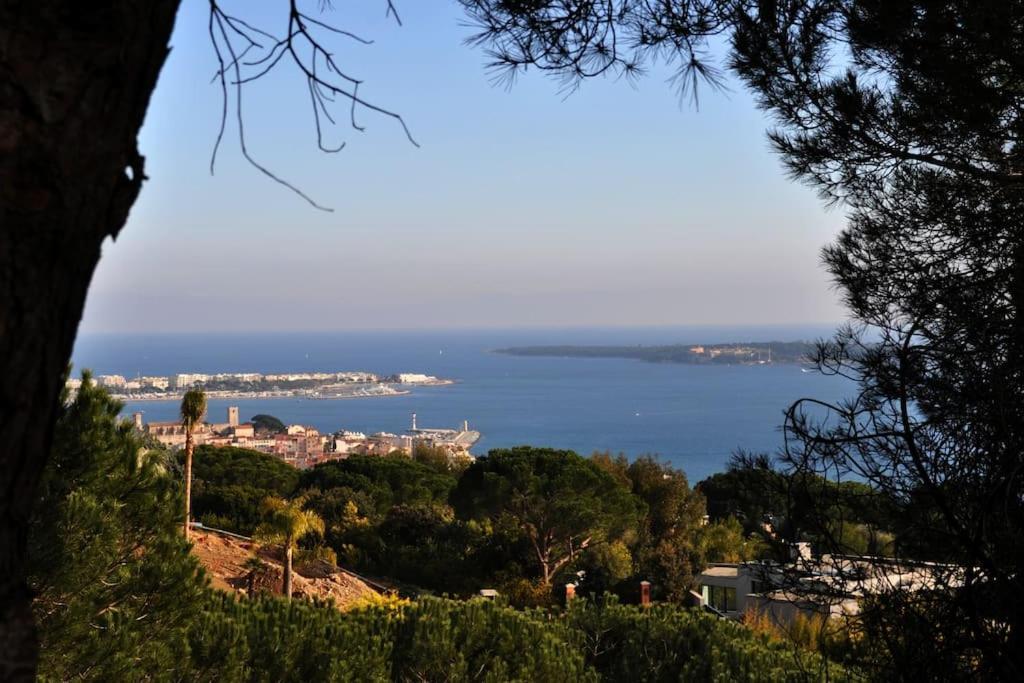 Cannes Beach And Festival Palais 外观 照片